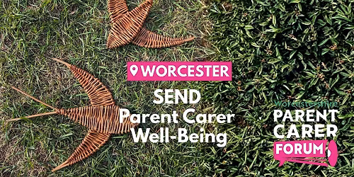 Willow Weaving Birds at SEND Parent Carer Well-Being 'Worcester'