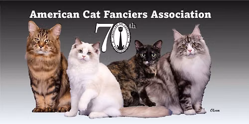 Cat Show-West Fargo, ND