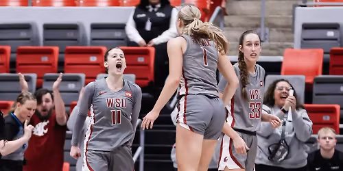 Parking Southern Utah Thunderbirds at Idaho Vandals Womens Basketball