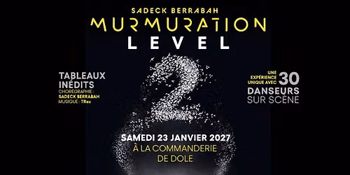 Murmuration Level 2 \u2022 La Commanderie, Dole (39)