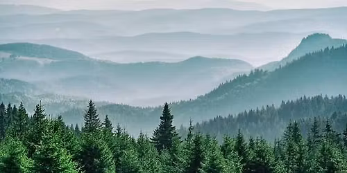 Misty Hills Paint Night