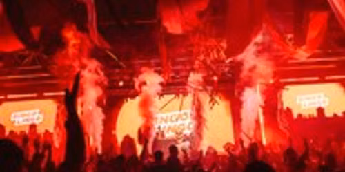 Bingo Lingo Sheffield - Halloween Special