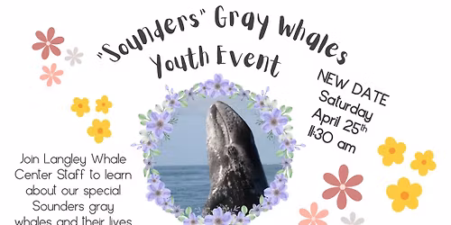 Sounders Gray Whale Youth Event