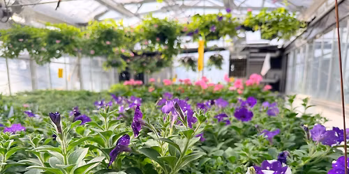 Horticulture Club Spring Plant Sale 