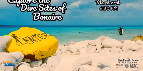 Explore the Dive Sites of Bonaire
