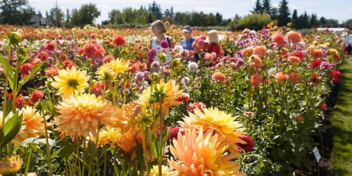Dahlia Festival Rally - Washington Airstream Club
