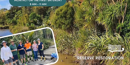 Bayside Drive Reserve - Volunteer Restoration Morning