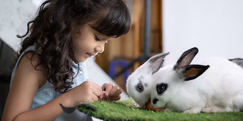 Scouts & Guides Animal Discovery Weekend