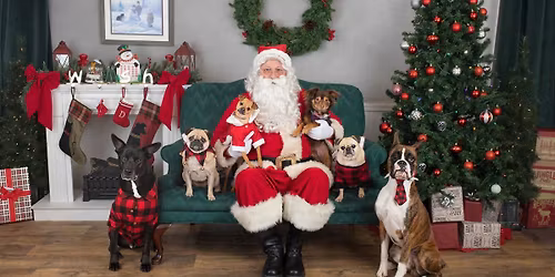 Santa Photos with Love Life Family Photography