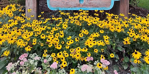 Commons park workday