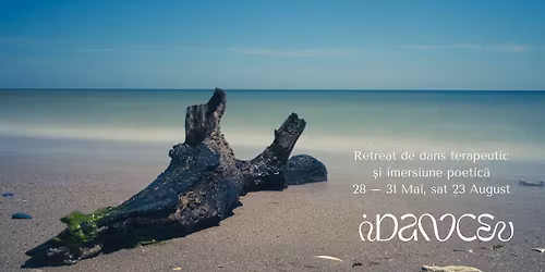 Sub Pielea Cerului - retreat de dans terapeutic \u0219i imersiune poetic\u0103