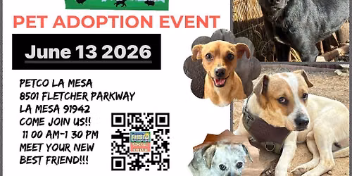 Dog Adoption Event