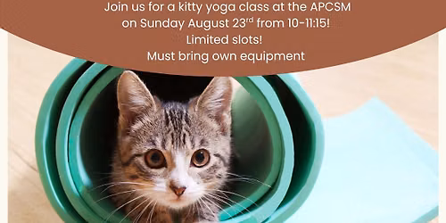 Cat Yoga Class at APCSM