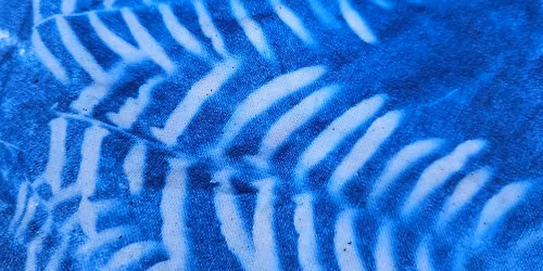 Come Craft With Us - Sun Prints - Free Event!