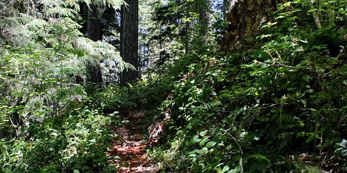 Hike: Twin Lakes