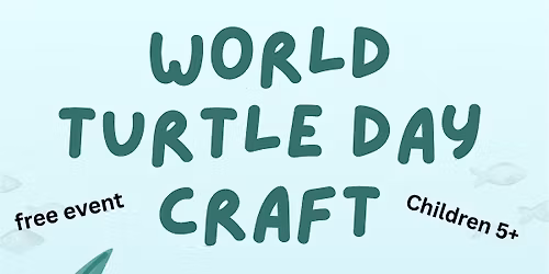 World Turtle Day Craft at Higham Hill library