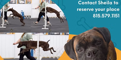 Beginning Adv. Skills ! - Class focuses on enriching your canine\u2019s life with fun skills
