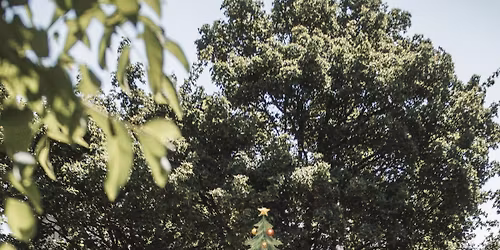 Winterfair - VINTAGEMARKT bij Libertas