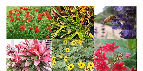 Florida-Friendly Landscaping \u2122 Talk and Tour at Robbins Nursery South