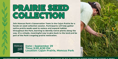 Prairie Seed Collection