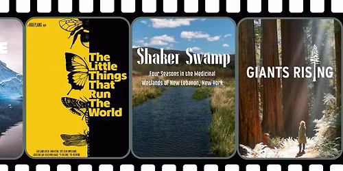 2026 Eco-Film Series: May Film- Shaker Swamp