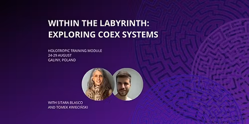 HOLOTROPIC TRAINING MODULE - Within the Labyrinth: Exploring COEX System