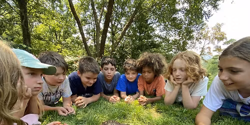 Spring Break Camp 2026