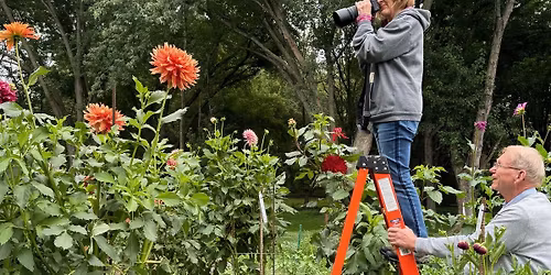 Former Kare 11 Anchor Diana Pierce to Speak to Dakota Gardeners March 18