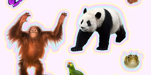 Spirit Animal Workshop