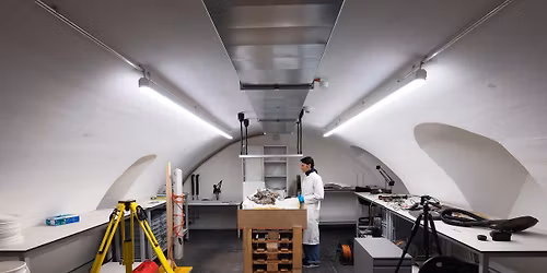 Live-Ausgrabung des Depots aus \u00abBasel-Gasfabrik\u00bb