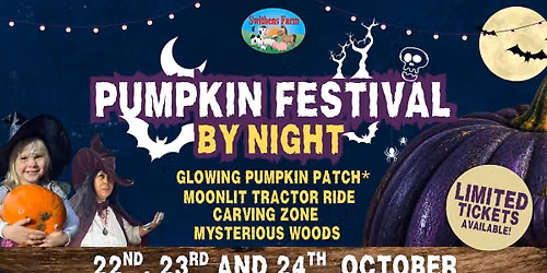 Pumpkin Festival By Night