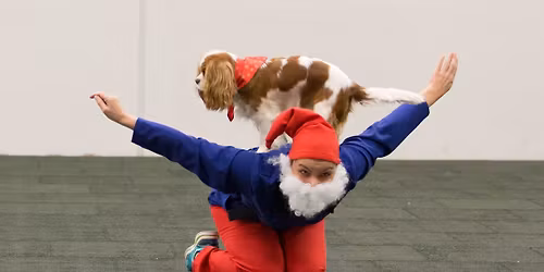 V\u00c1NO\u010cN\u00cd D\u00c1REK