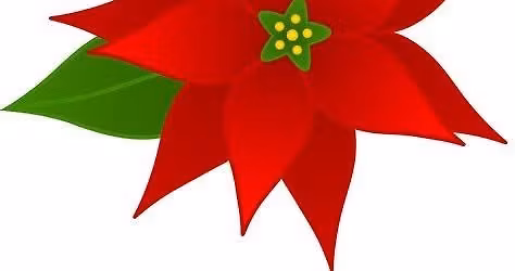 Holiday Shop