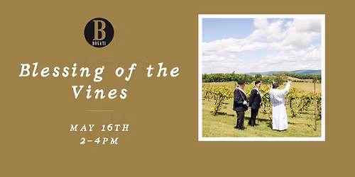 Blessing of the Vines