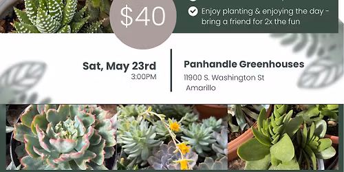 Succulent Sip & Plant Workshop