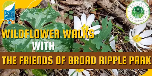 Wildflower Walks at Broad Ripple Park