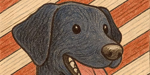 Pet Photos with Santa