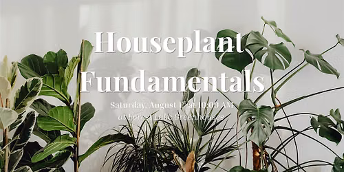 Houseplant Fundamentals