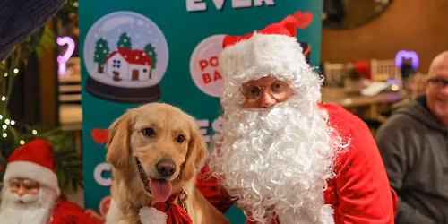 GOLDEN RETRIEVER CAFE CHRISTMAS - CARDIFF