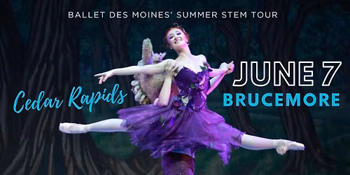 Ballet Des Moines - Des Moines