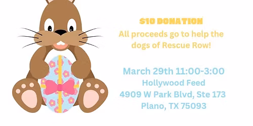 Pictures with the Easter Bunny at Hollywood Feed in Plano