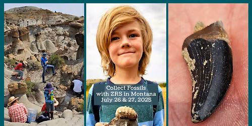 Join ZRS for Fossil Collecting in Montana this summer!