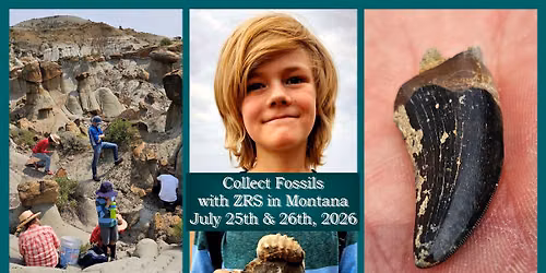 Join ZRS for Fossil Collecting in Montana this summer!