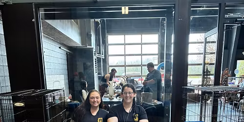 Rabies + Microchip Clinic