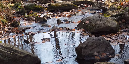 Homeschool at Broad Meadow Brook: Watersheds