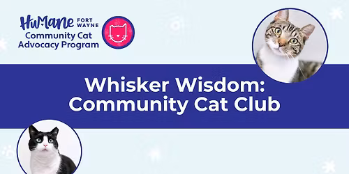 Whisker Wisdom Community Cat Club Meeting