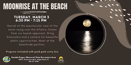 Moonrise at the Beach