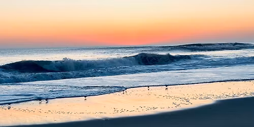 Restore & Release Brunch Retreat