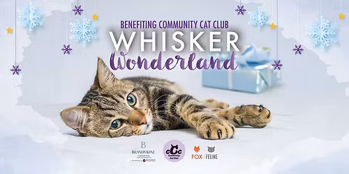 Whisker Wonderland: Shopping, Cat Adoptions, & More