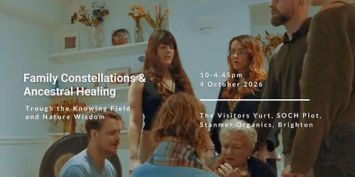 Family Constellations & Ancestral Healing in Nature